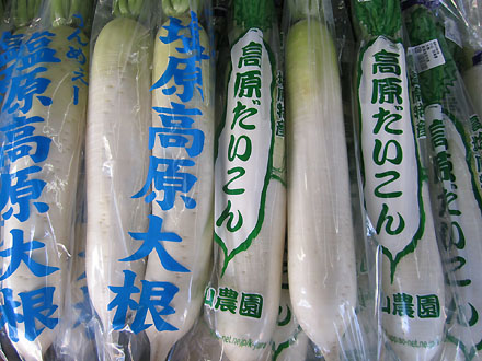 Shiobara Kogen daikon radish