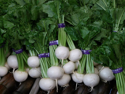 Shiobara Kogen white turnip