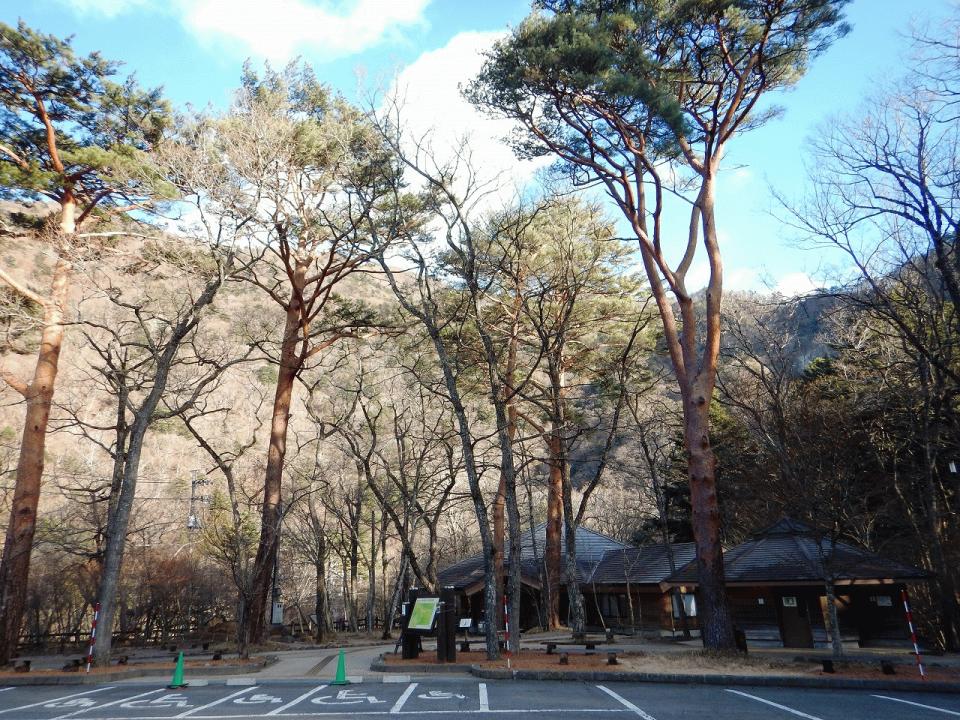 �{���̎ʐ^�Œ�_�ϑ�