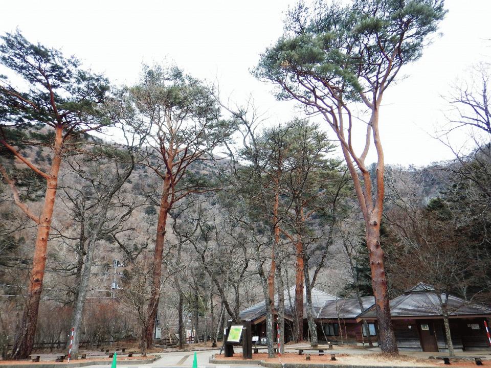 �{���̎ʐ^�Œ�_�ϑ�