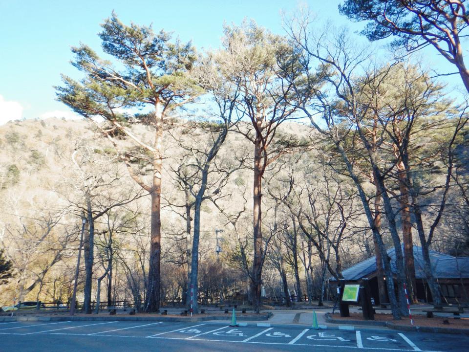 �{���̎ʐ^�Œ�_�ϑ�