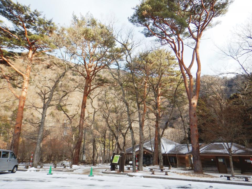 �{���̎ʐ^�Œ�_�ϑ�