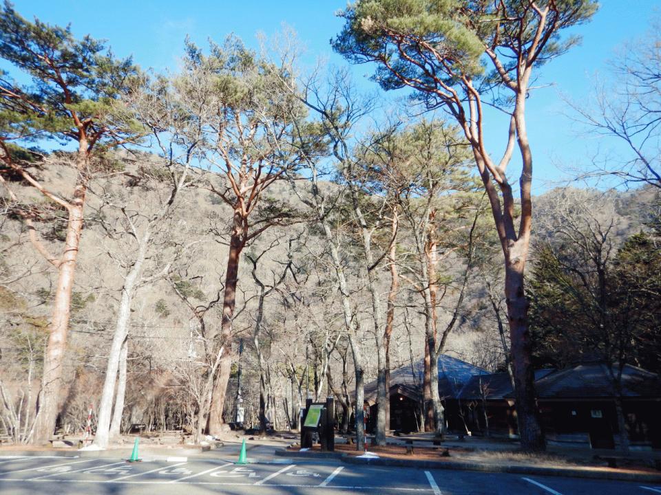 �{���̎ʐ^�Œ�_�ϑ�