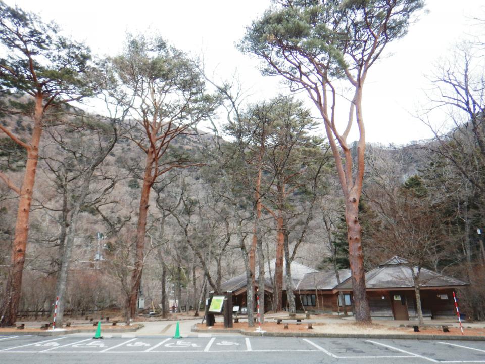 �{���̎ʐ^�Œ�_�ϑ�