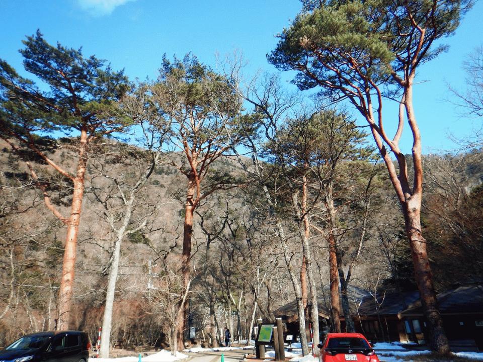 �{���̎ʐ^�Œ�_�ϑ�