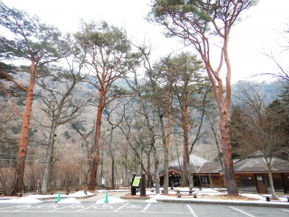 �{���̎ʐ^�Œ�_�ϑ�