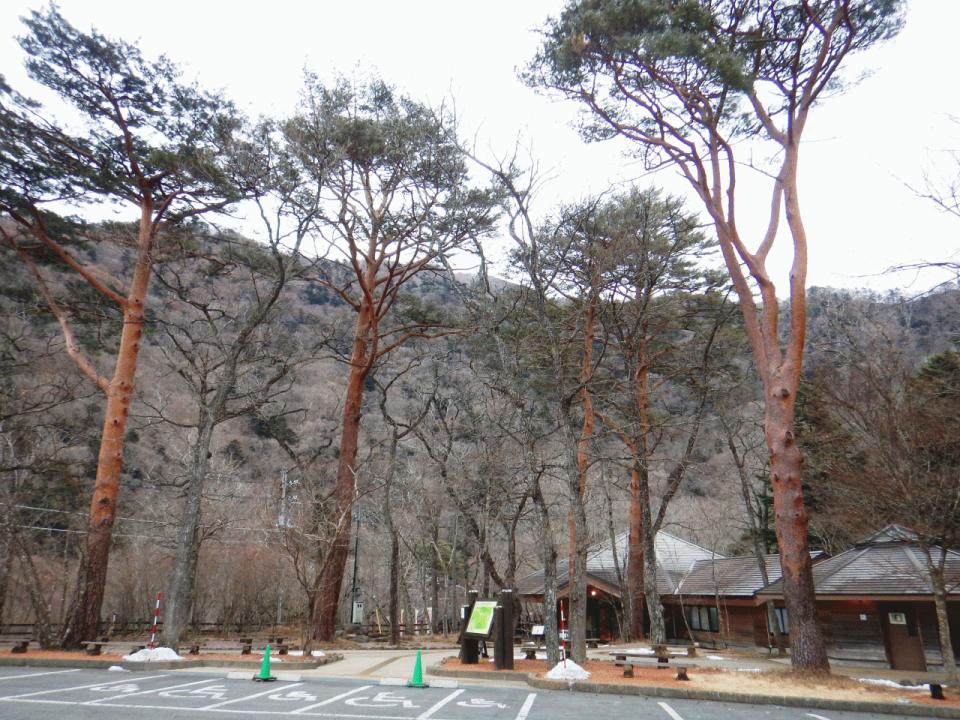 �{���̎ʐ^�Œ�_�ϑ�