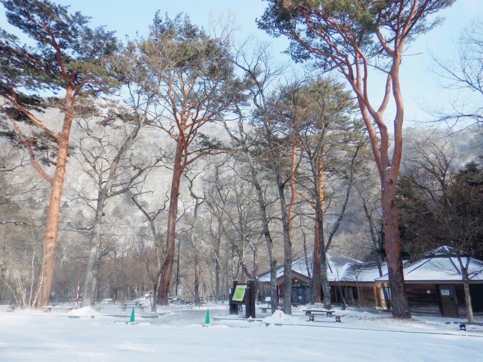 �{���̎ʐ^�Œ�_�ϑ�