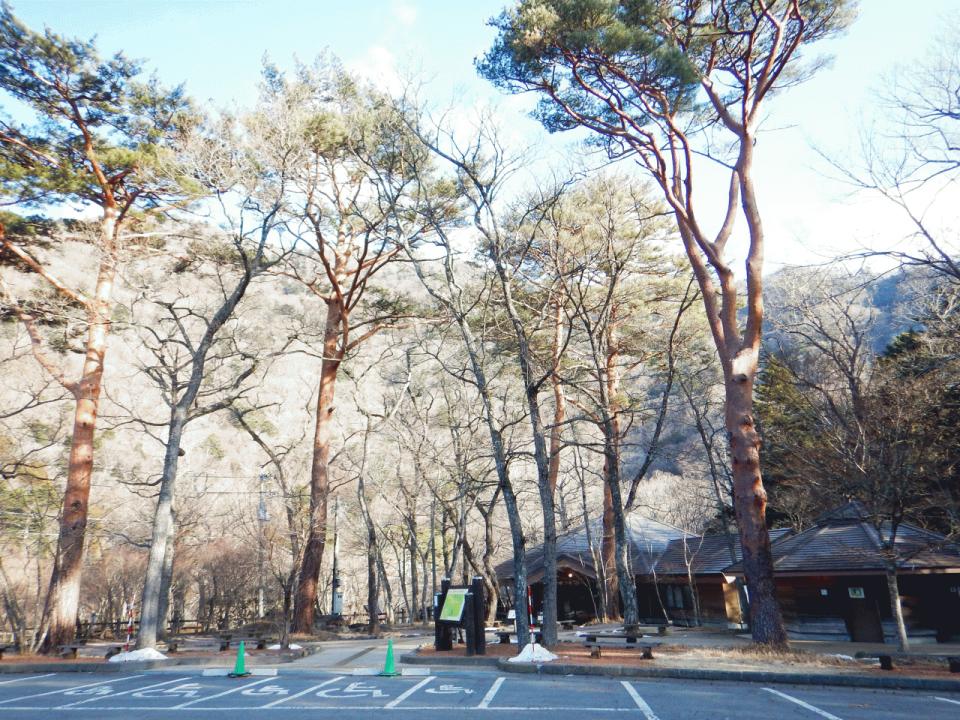 �{���̎ʐ^�Œ�_�ϑ�