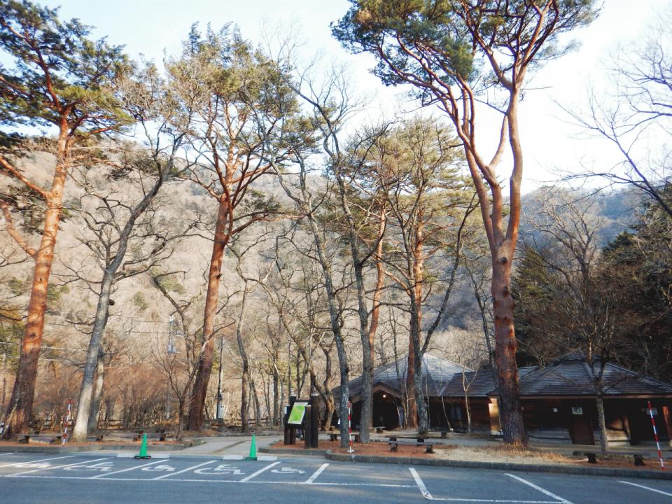 �{���̎ʐ^�Œ�_�ϑ�