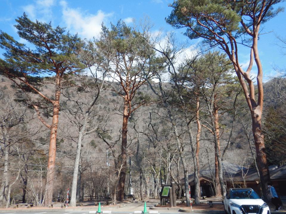 �{���̎ʐ^�Œ�_�ϑ�