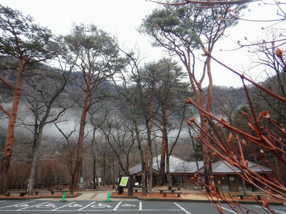 �{���̎ʐ^�Œ�_�ϑ�