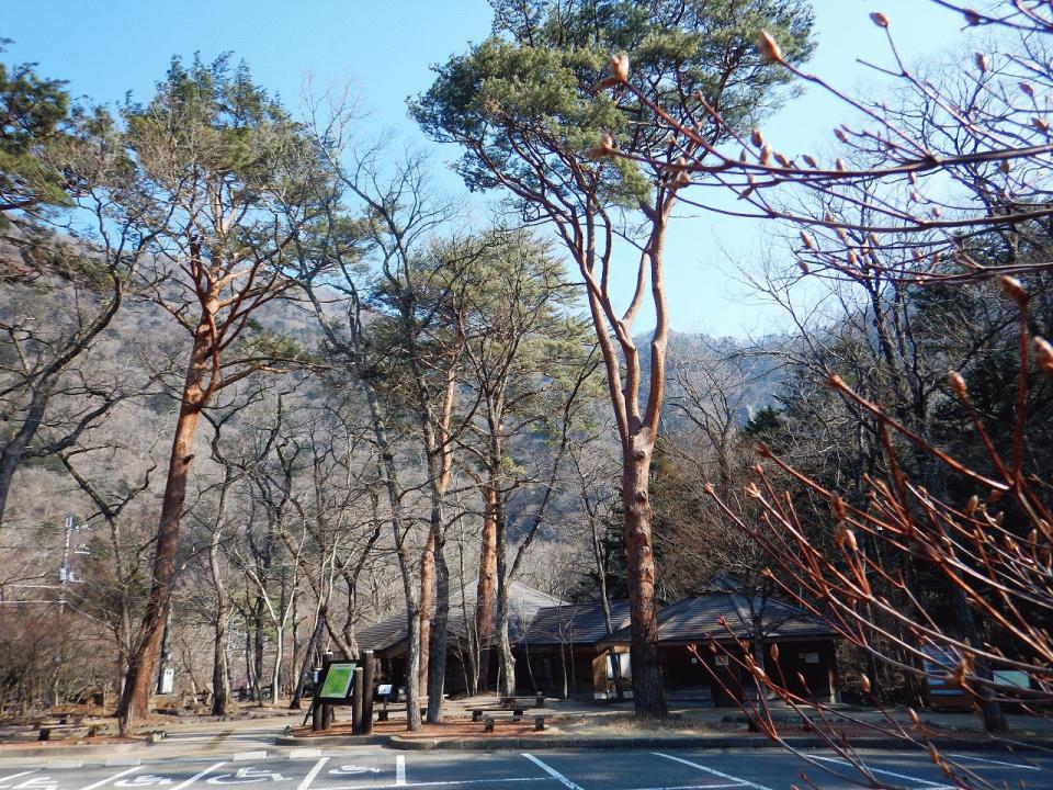 �{���̎ʐ^�Œ�_�ϑ�