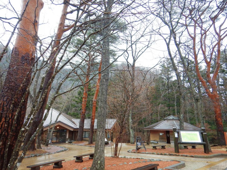 �{���̎ʐ^�Œ�_�ϑ�