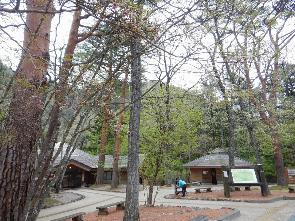 �{���̎ʐ^�Œ�_�ϑ�