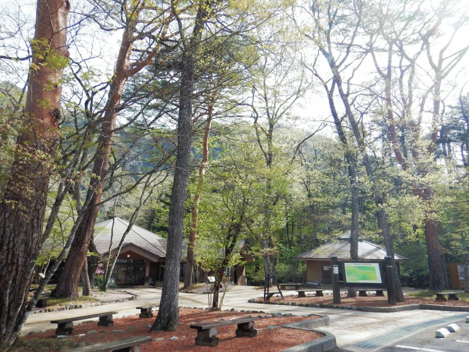 �{���̎ʐ^�Œ�_�ϑ�