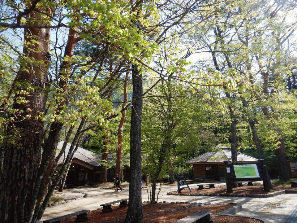 �{���̎ʐ^�Œ�_�ϑ�