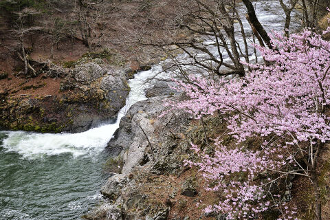 ��������r�W�^�[�Z���^�[ �X�V���