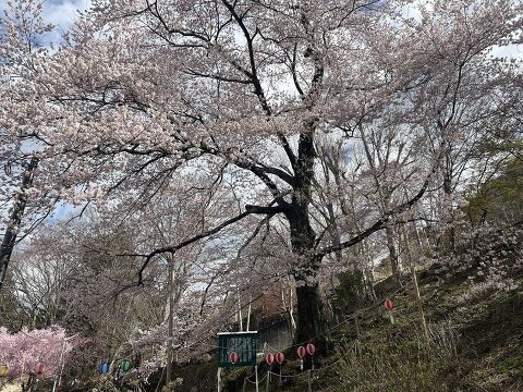 ��������r�W�^�[�Z���^�[ �X�V���