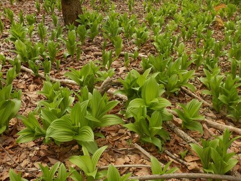 ��������r�W�^�[�Z���^�[ �X�V���