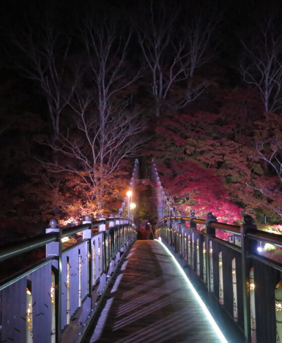 温泉街が鮮やかに！ライトアップイベント