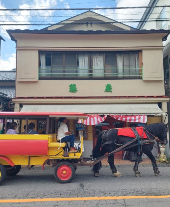 2025年秋のイベント情報