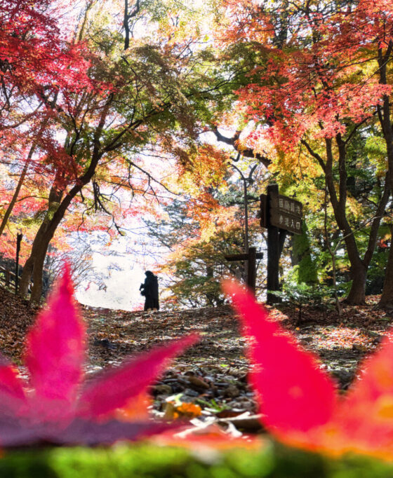 おススメ紅葉スポット 塩原渓谷を満喫しよう♪