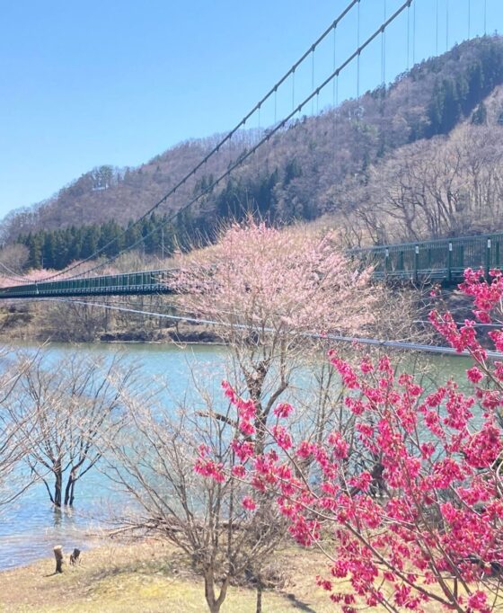 2026年春のイベント情報